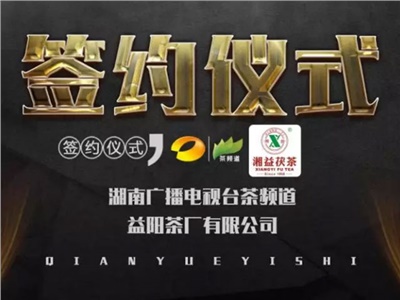 湘益茯，美茗揚(yáng) 丨湘益茯茶與茶頻道達(dá)成長(zhǎng)期戰(zhàn)略合作