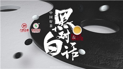首屆黑白對話高峰論壇圓滿落幕！湘益茯茶備受關(guān)注！