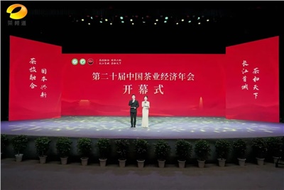 【聚焦第二十屆中國茶業(yè)經(jīng)濟(jì)年會】益陽茶廠榮獲“民族團(tuán)結(jié)互助企業(yè)”、“2024年度茶業(yè)重點(diǎn)企業(yè)”榮譽(yù)稱號